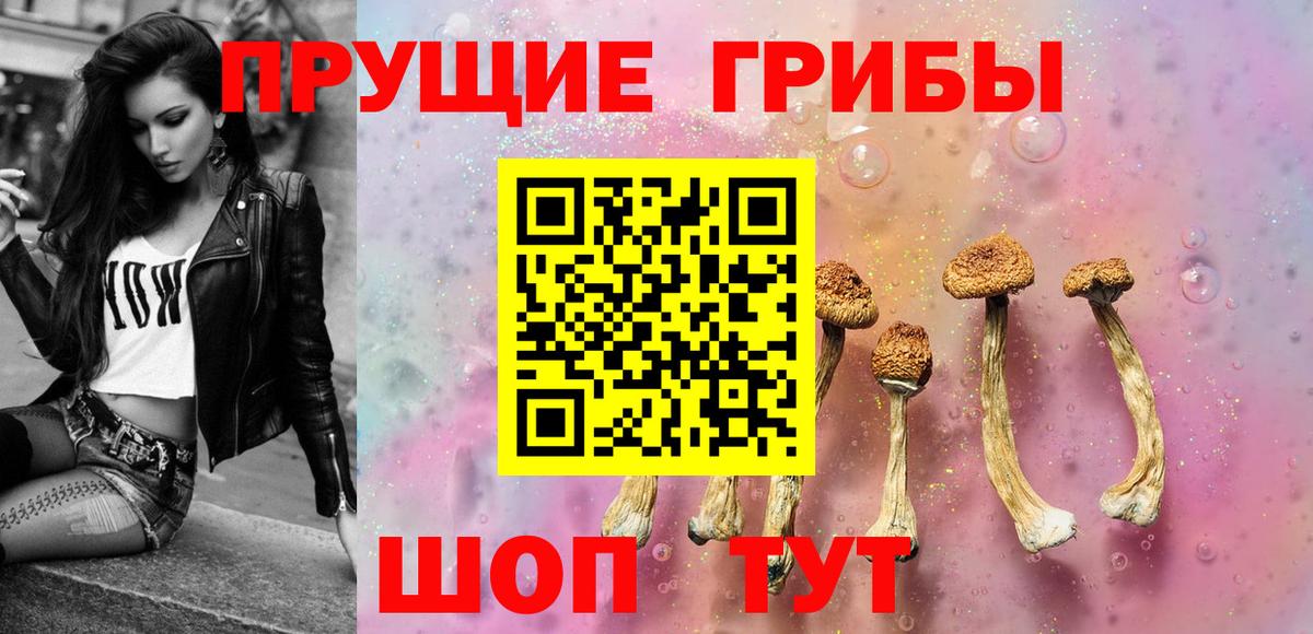 Галлюциногенные грибы Cubensis Первоуральск