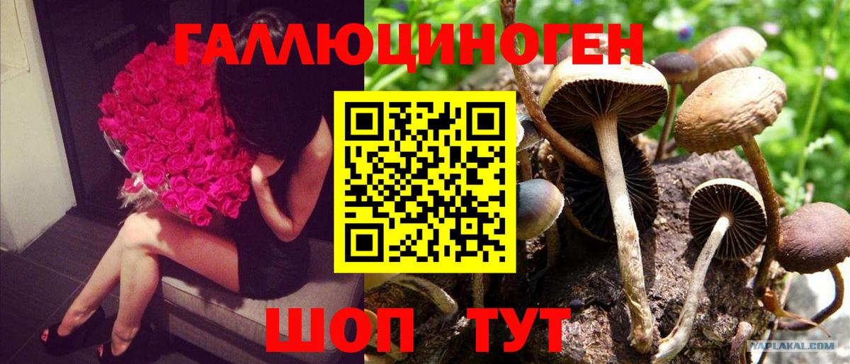 Первоуральск  Галлюциногенные грибы MAGIC MUSHROOMS  Вход с VPN  Галлюциногенные грибы Psilocybine cubensis 